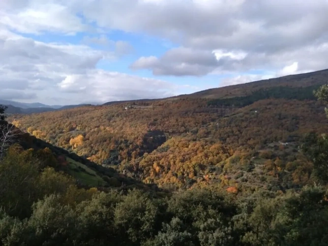 1 Bedroom Apartment with mountain view