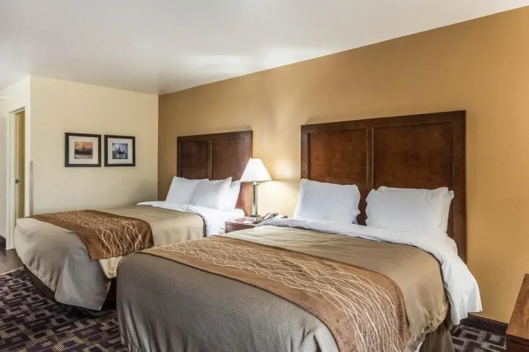 Comfort Inn & Suites