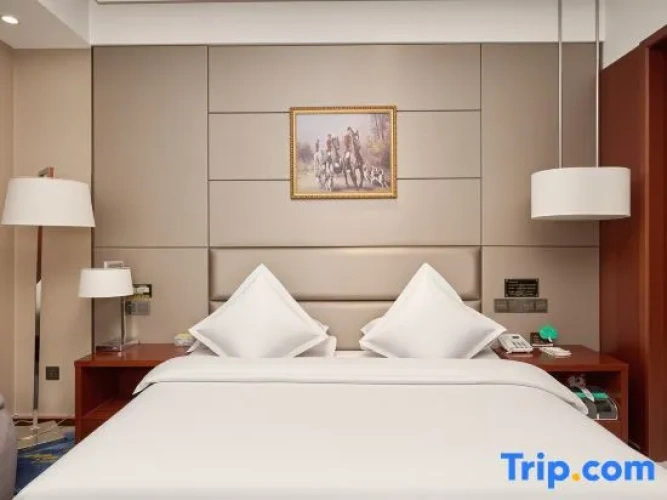 Executive Double room