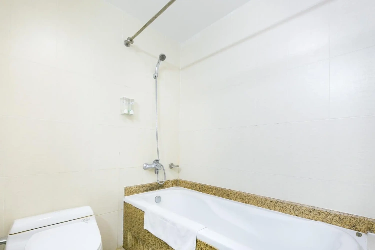 Superior Twin room with mountain view