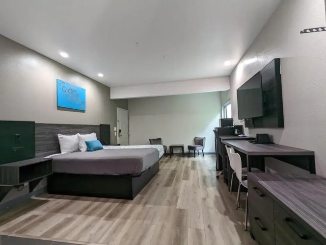 Suite