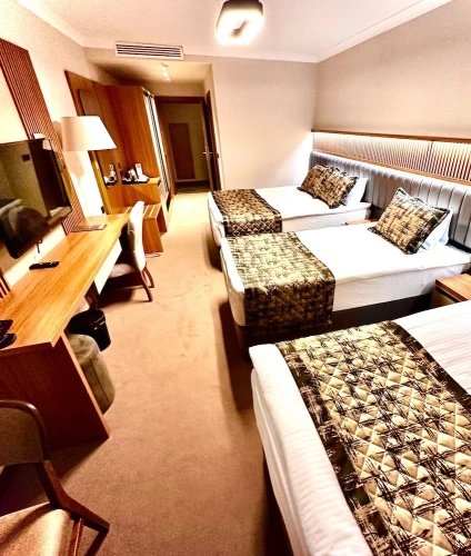 Deluxe Triple room