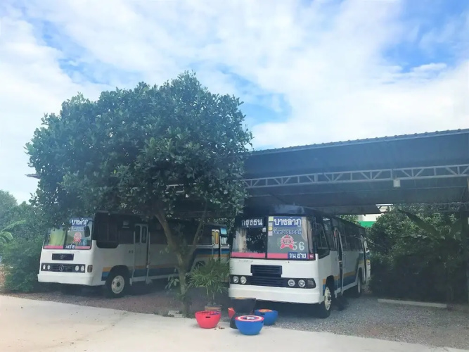 Big Trees Resort