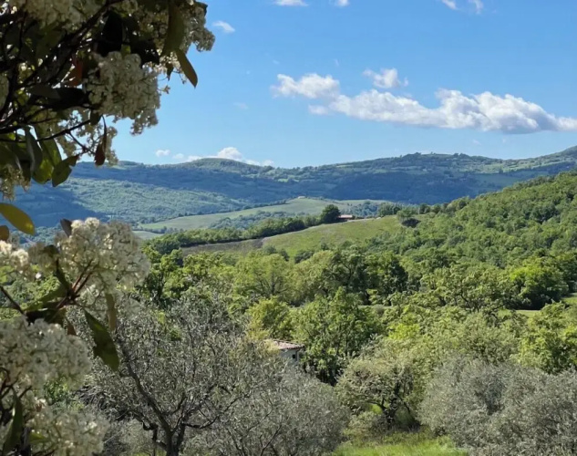 Agriturismo Melodie Toscane