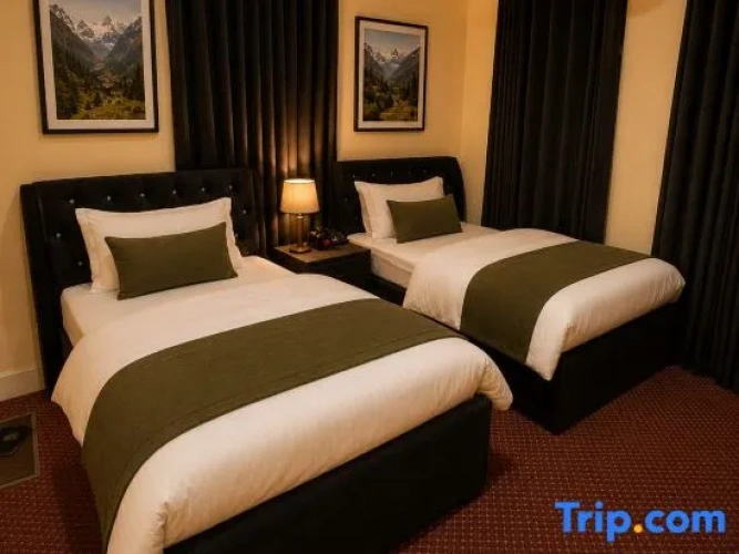 Economy Twin room