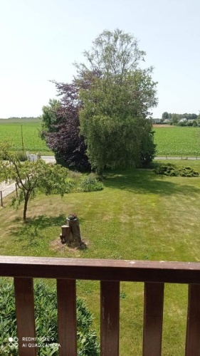 Outside