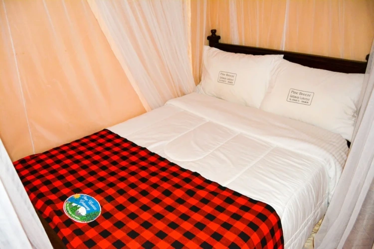 Standard Double room with balcony and with mountain view