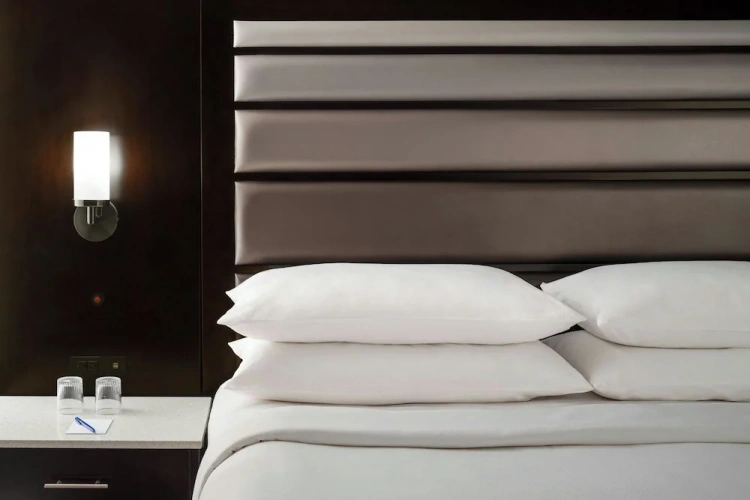 1 Bedroom Suite