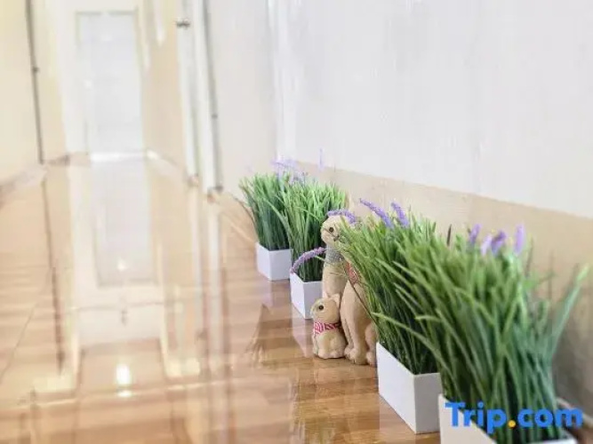 Khunnampheung Apartment