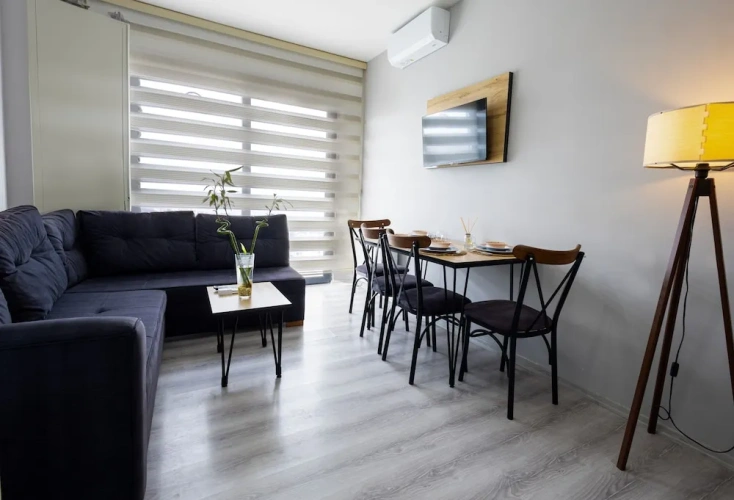 Luxury Apartment