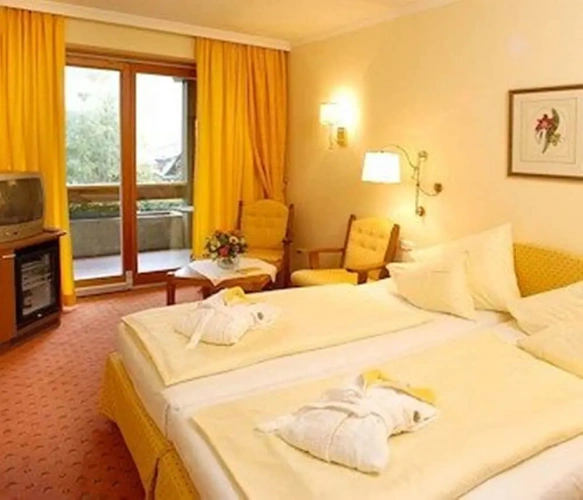 Standard Double room with balcony and with mountain view