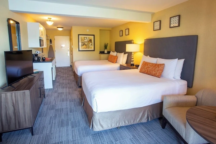 Deluxe Quadruple room with pool view