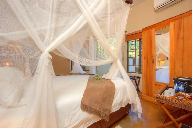 Economy Twin room