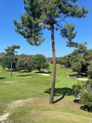 Comfort Double room with balcony and with golf view