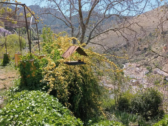 Jardin Del Sol