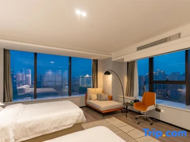 Standard Twin room with city view