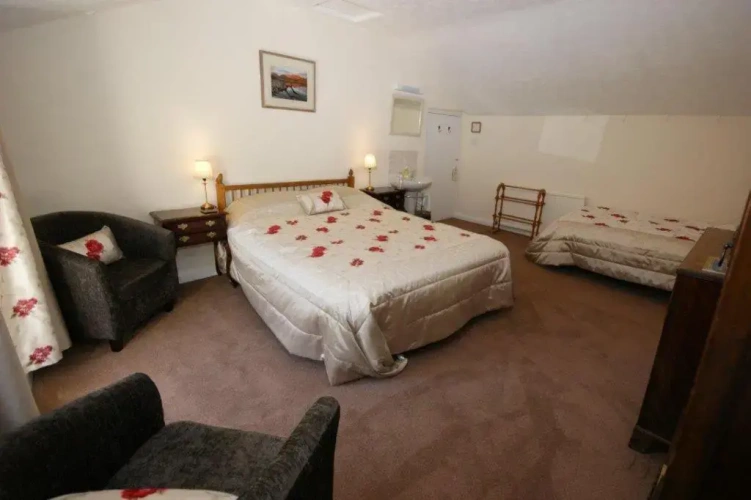 Standard Double room with garden view