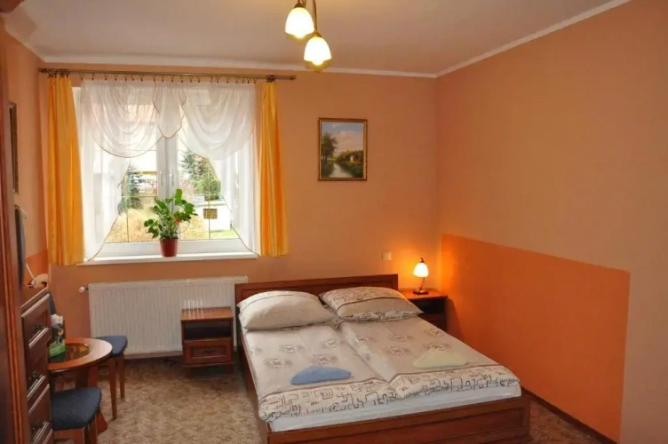 Standard Double room with mountain view