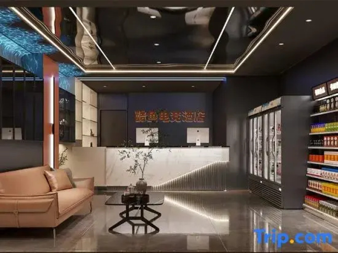 Shaodong Cool Fish e-Sports Hotel