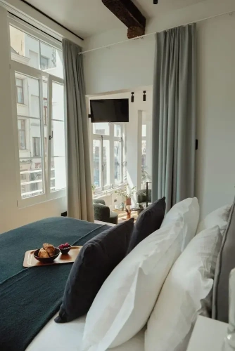 Deluxe Suite with river view