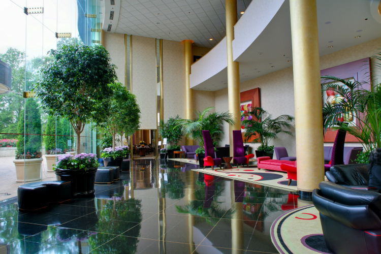 Hilton Washington Dulles Airport photo 29