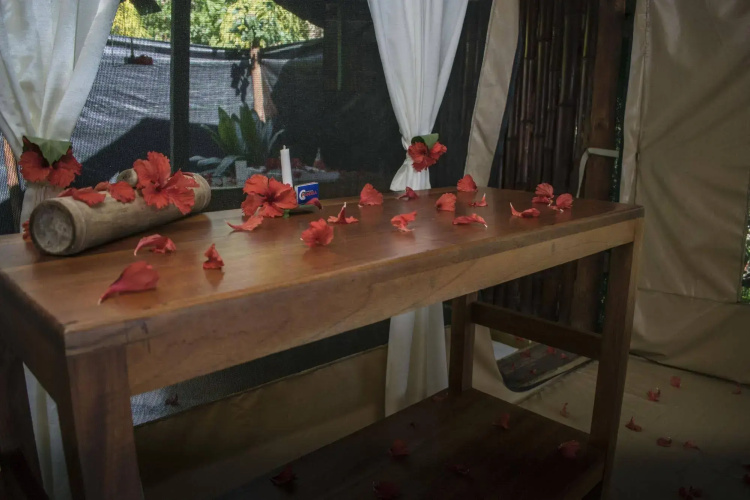 La Leona Eco Lodge