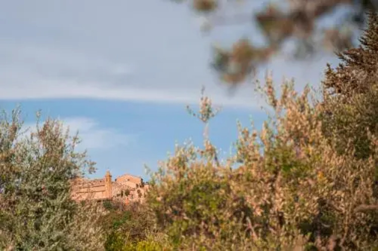 San Carlo a La Molinella