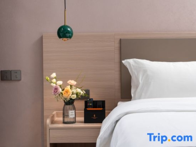 Standard Double room with city view
