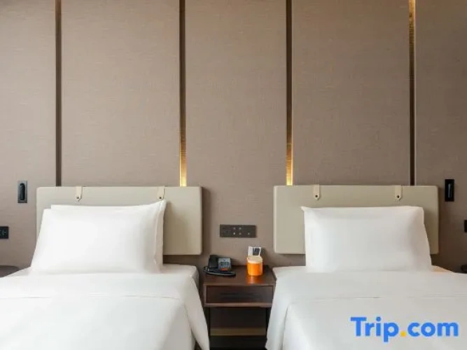 Business Twin room