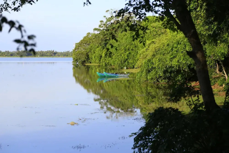 Sandalu Kithulgala