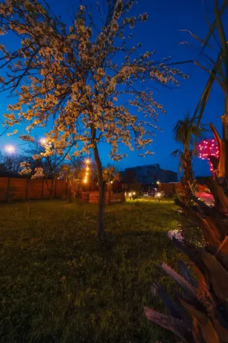 Sapanca Sunday Bungalov