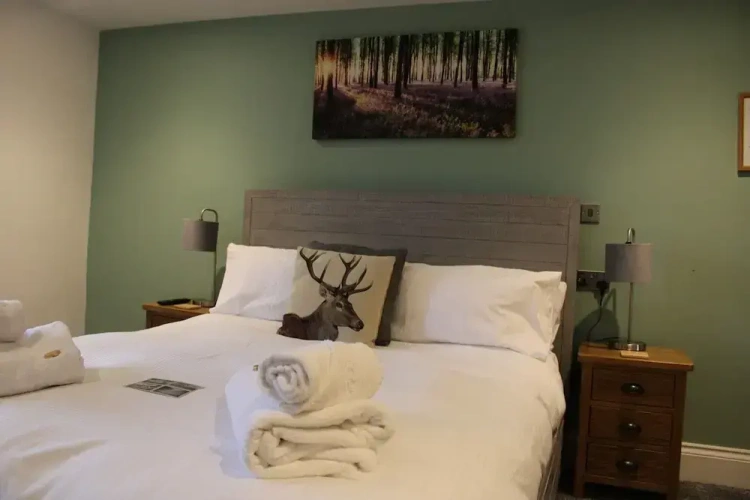 Deluxe Double room