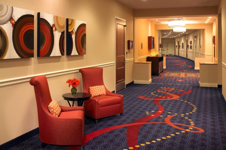 Marriott Chicago Oak Brook photo 15
