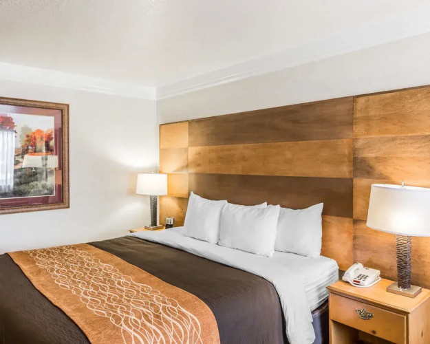 Quality Inn & Suites — фото 4