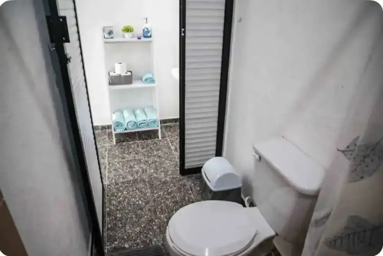 Studios erizo
