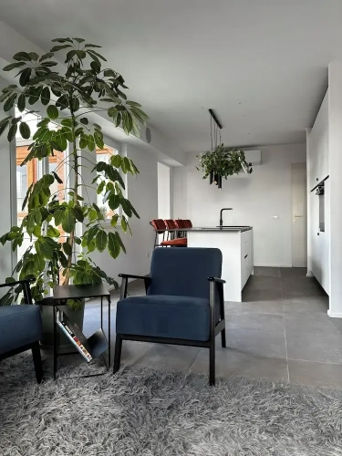 Deluxe Apartment