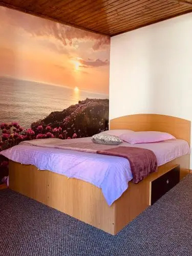 Vila Ammos Apartments Busteni