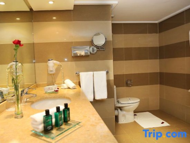 Ambassador Single Suite