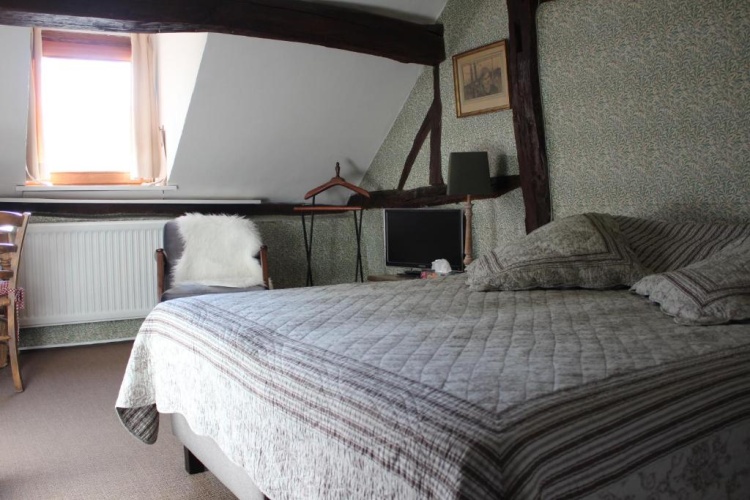 Standard Double room with garden view