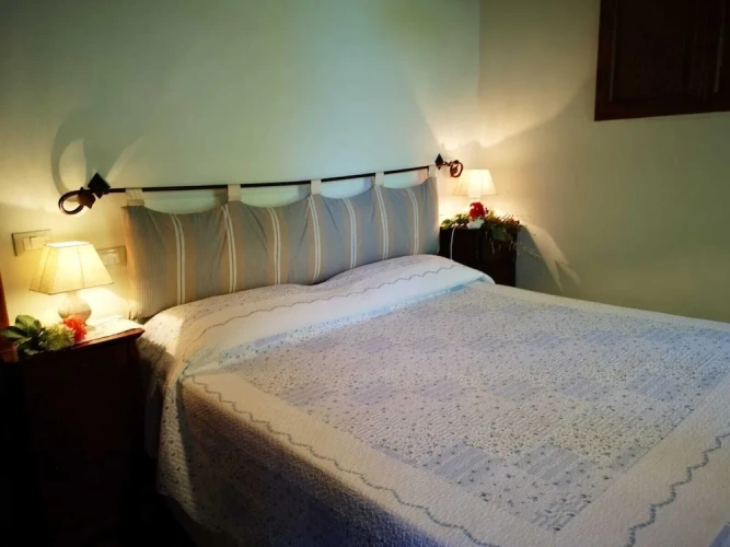 2 Bedrooms Family Apartment