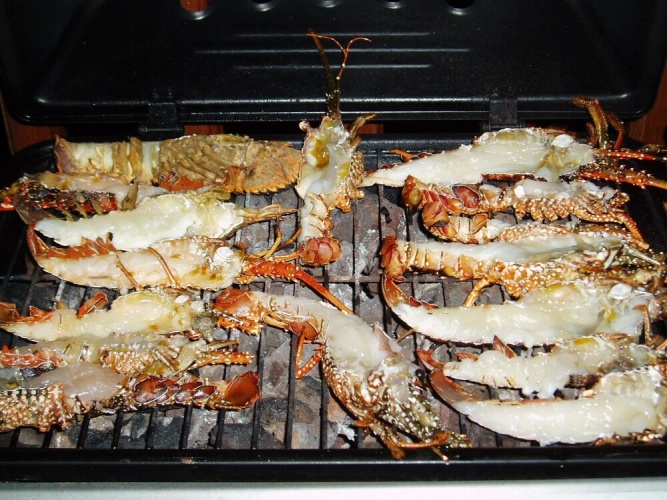 Meal
