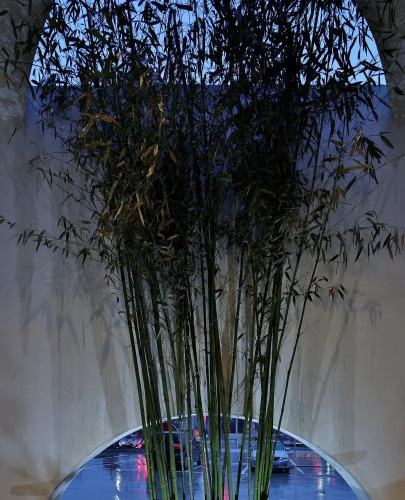 Yinqi Xinsu Hotel