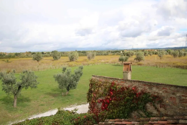Podere Campo alle Serpi