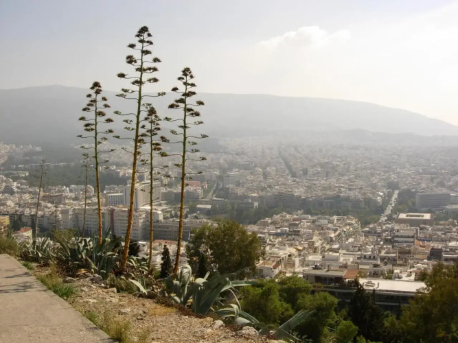Hidesign Athens