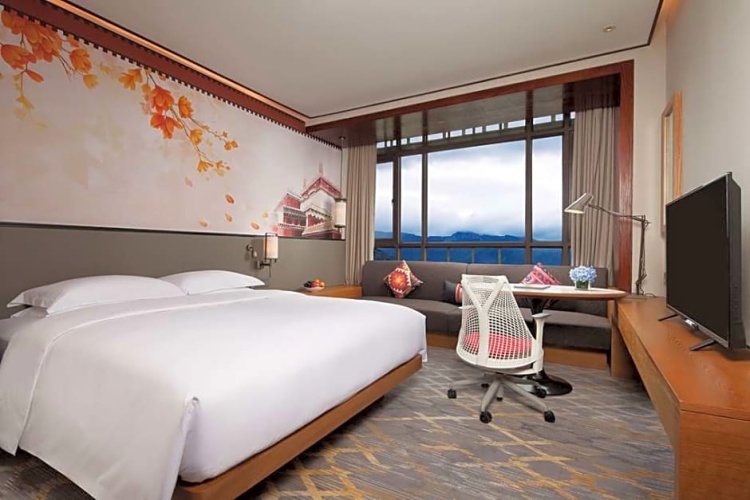 Deluxe Double room Mountain View
