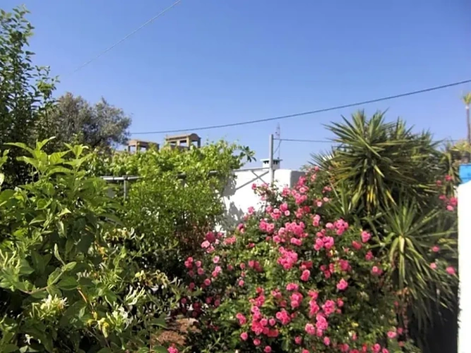 Deluxe Double room with balcony and with view