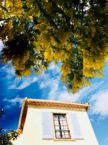 Hôtel La Jabotte