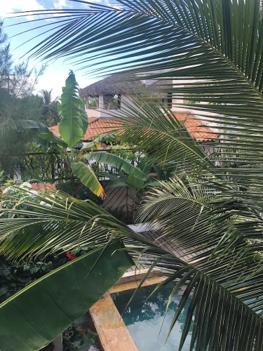 Classic Double room with balcony and with garden view