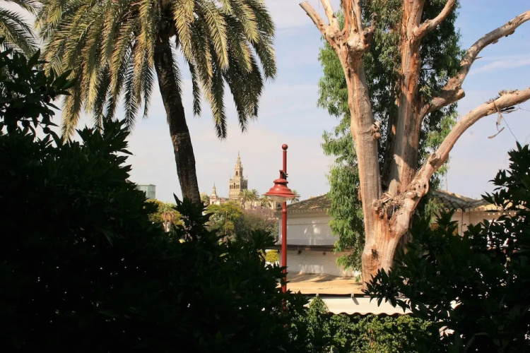 Seville Vacation Rentals - Giralda