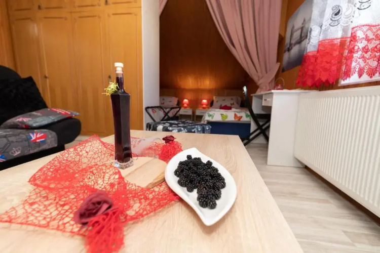 Studio Apartman Poljančić